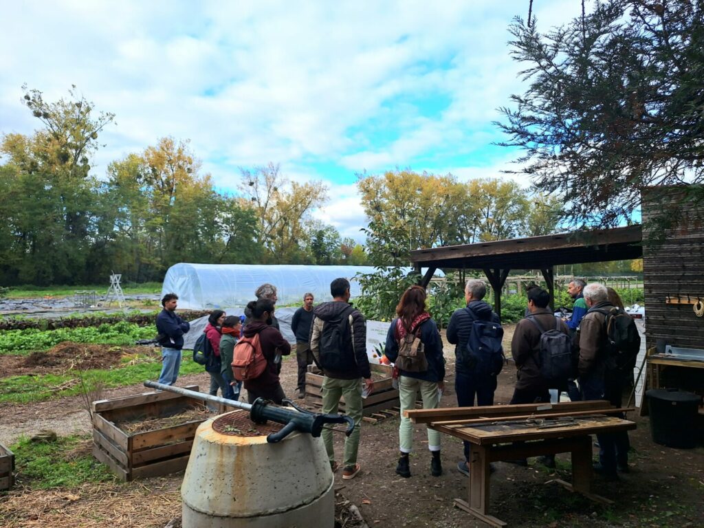Photographie du terrain de maraichage urbain dans le cadre de la production de fruits et légumes bio, de saison et locaux à la Régie des Ecrivains. Partenaire du CSC Escale, ACSO à la Robertsau, Strasbourg.